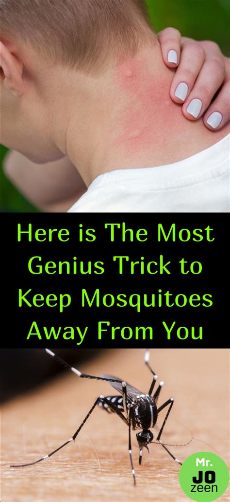 Best Mosquito Repellent For Ponds Standing Water Peepsburgh