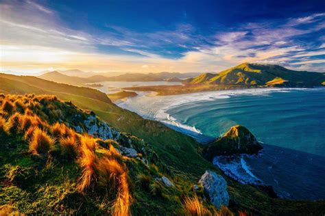 10 Best Beaches In New Zealand To Visit California