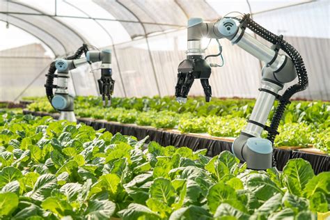 Uk Agriculture And Robotics Receive £125 Million Funding