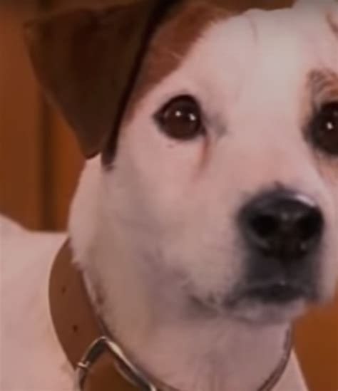 6 Times The ‘wishbone Episode Was Better Than The Book