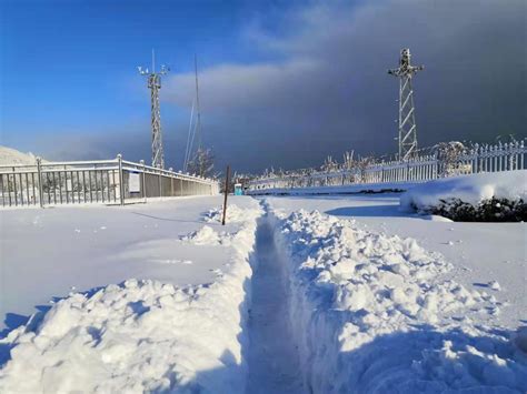 The site owner hides the web page description. 烟台迎来今冬第二次强寒潮天气 市区再降暴雪