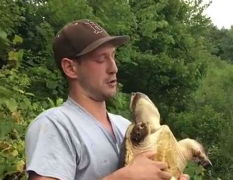Man Bitten In The Face By A Turtle Learns Theyre Not As Slow As You
