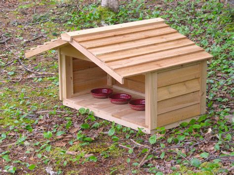 Where should i put the cat shelter(s)? OUTDOOR CEDAR CAT DOG RABBIT FERAL FEEDING STATION FOOD ...
