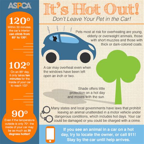 Maybe you would like to learn more about one of these? 7 SUMMER SAFETY TIPS FOR PET OWNERS | Jacksonville Humane ...