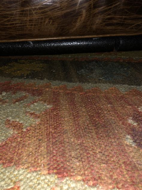 Their ears are perked up and their gaze will focus on whatever they're looking at. Dog toys going under the couch? Use a pool noodle to stop ...