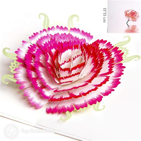 Pretty floral design is suited for birthdays, graduations, bridal showers, mother's day, administrative professionals day and more. Carnation Flower Handmade 3D Pop-Up Card