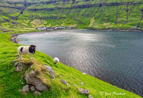 The Village Of Tjornuvik Streymoy Faroe Islands Jens Preshaw