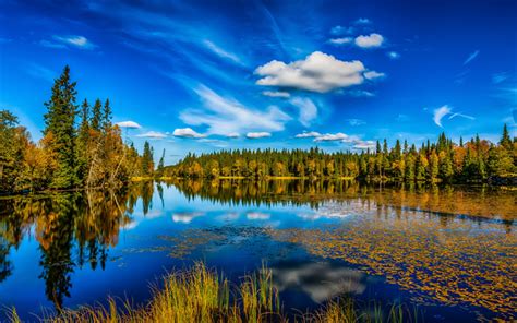 Download Wallpapers Lake Forest Autumn Blue Sky Clouds
