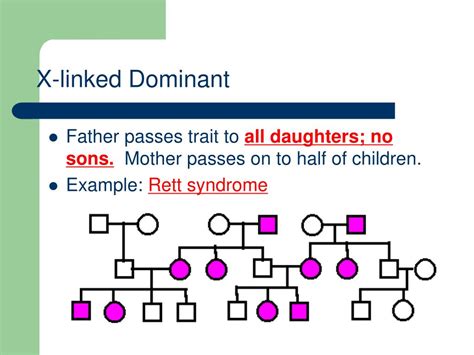 PPT Pedigrees And Sex Linked Traits PowerPoint Presentation Free