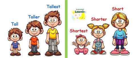 Tall Vs Short Covoji Learning