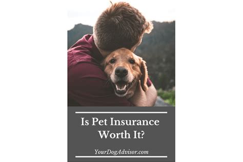 Start a quote for pet insurance and see how affordable a policy for your dog or cat can be! Is pet insurance worth it? | Stripes Guam