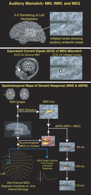 Mapping Cognitive Function Neuroimaging Clinics