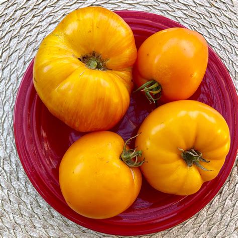 Sacramento Digs Gardening For A Tomato Side Dish Borrow An Idea From