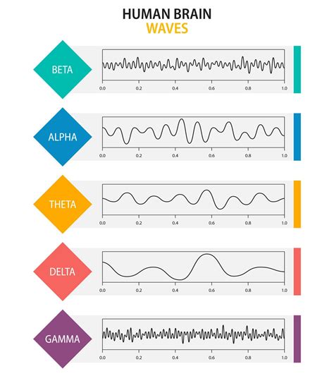 Set Of Brain Waves Oscillation Beta Alpha Theta Delta Gamma Brain