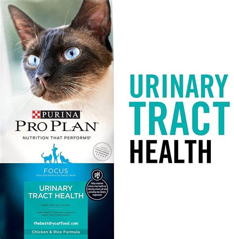 Best Dry Cat Food For Urinary Tract Health Reviews And Buyer Guide