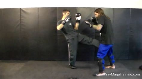 Neutral stance or passive stance. Krav Maga - Front Kick with Advance from Fighting Stance ...