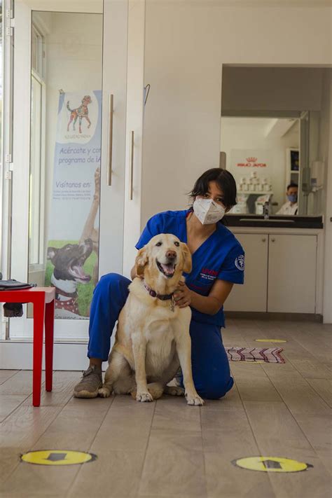clinica veterinaria alegria canina