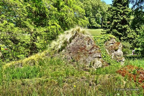 Weitere ideen zu naturbilder, landschaft, natur. Zusammen im Garten, zwei mystische liebenswerte Gesichter ...