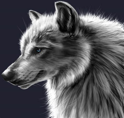 Wolf Profile By Ink River On Deviantart