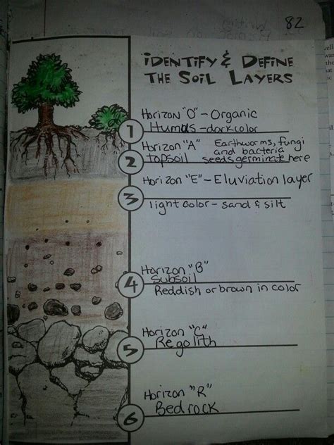 soil layers soil layers  grade science worksheets  kids
