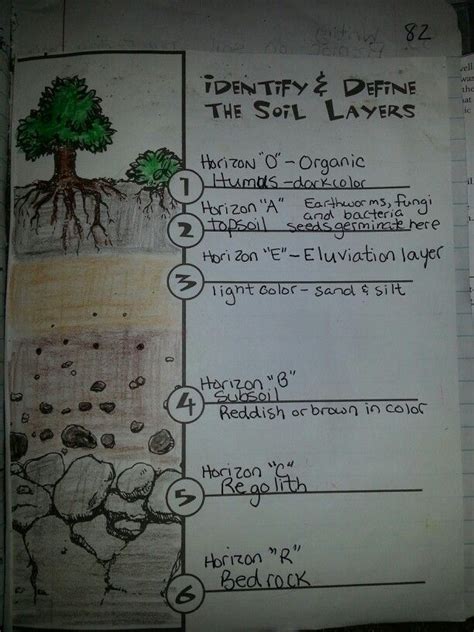 Soil layers | Soil layers, 6th grade science, Worksheets for kids