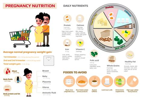 What Extra Nutrients Are Needed During Pregnancy Pregnancywalls
