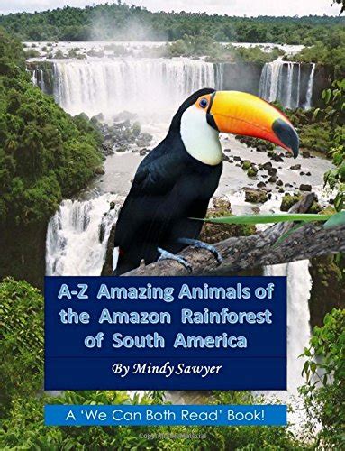 Buy A Z Amazing Animals Of The Amazon Rainforest Of South America Fun