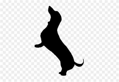 Download Dachshund Silhouette Vector at Vectorified.com ...