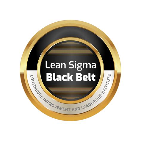 Lean Six Sigma Black Belt Cili