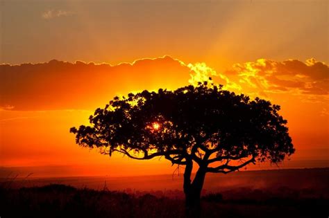 Beautiful African Landscape Sunset By Catman Suha 980×653 African