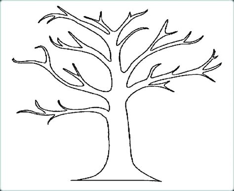 Tree No Leaves Drawing At Explore Collection Of