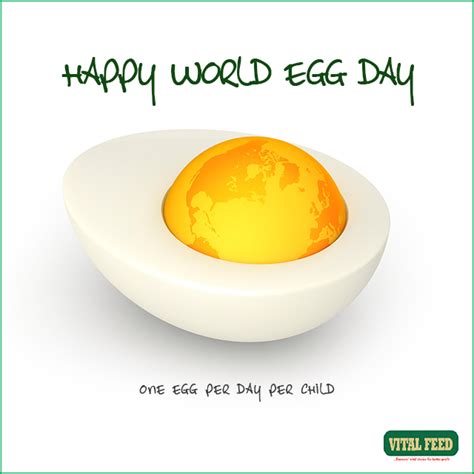 Happy World Egg Day Agriculture Nigeria