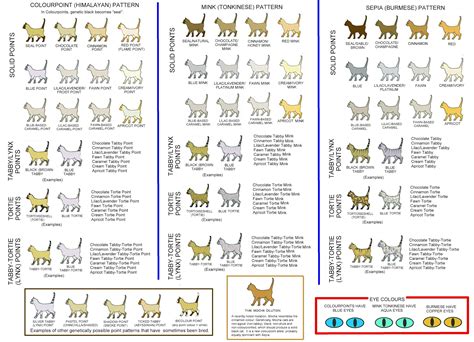 Cat fanciers have sought to equalize competition among breeds by dividing the huge persian class into smaller groups. COLOUR AND PATTERN CHARTS