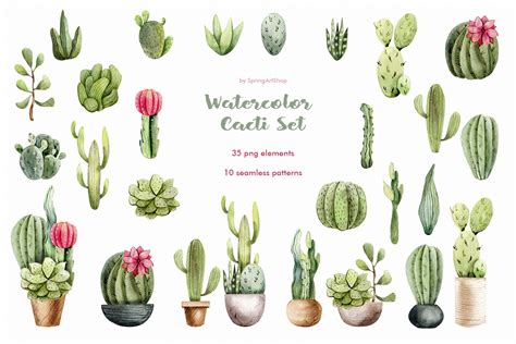 Watercolor Cacti Clipart Plants Watercolor Succulents 136270