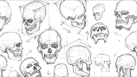 Drawing A Skull From Different Angles Time Lapse Youtube