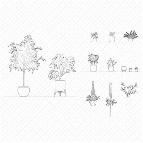 Cad Interior Potted Plants Dwg Toffu Co