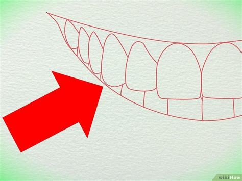 Como Desenhar Dentes 11 Passos Com Imagens Rosa Dos Ventos Dentes