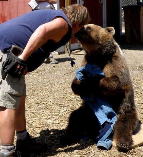 Hollywood Animal Trainer Is Banned From Training Animals For Films