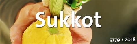 Order Your Lulav And Etrog Set For Sukkot Event Adas