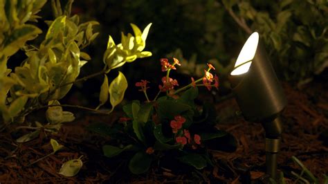 VOLT Landscape Lighting 9-piece Path & Area Light Brass ...