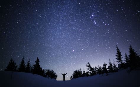 Let Orion Lead You On Winter Night Sky Tour Name A Star
