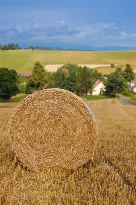 Straw Bale In The Field Free Stock Photo Public Domain Pictures