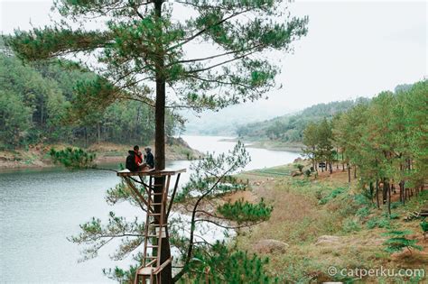 Mulai dari area parkir, area pemancingan, gazebo, rumah pohon. Ranu Gumbolo Tulungagung Wisata Tepi Waduk Wonorejo ...