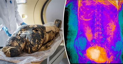 Scientists Discover That Egyptian Mummy Thought To Be Male Priest Was Actually Pregnant Woman In