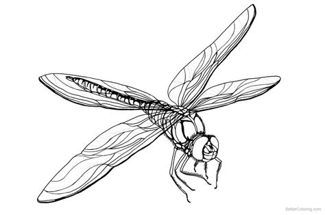 702 best images about animal coloring pages for adults on. Dragonfly Coloring Pages Printable at GetColorings.com ...