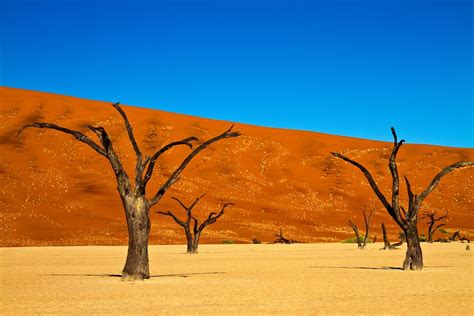 Wüste In Namibia Foto And Bild Africa Southern Africa Namibia Bilder