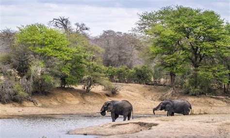 Botswana Guided Lodge Safari Southern Africa Tours And Safaris African Reservations