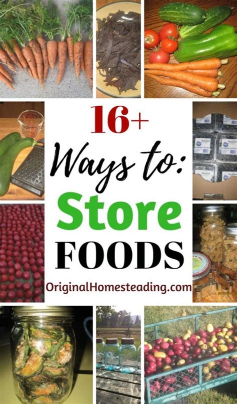 16 Ways To Preserve Food Modern And Traditional Methods