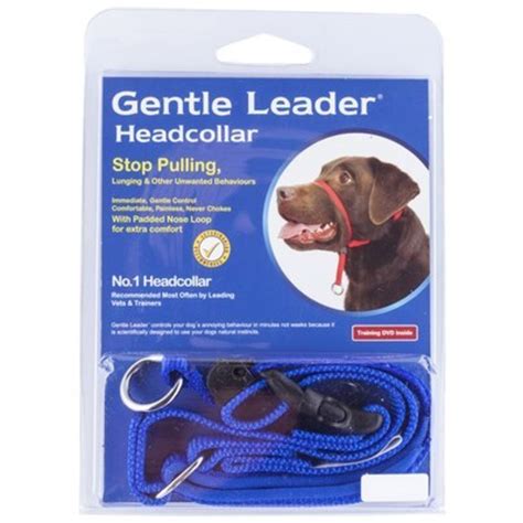 Gentle Leader Head Collar For Dogs Large Blue Bunnings Australia