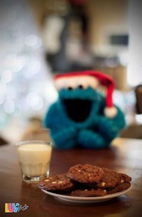 A Cookie Monster Christmas In 2020 With Images Monster Cookies
